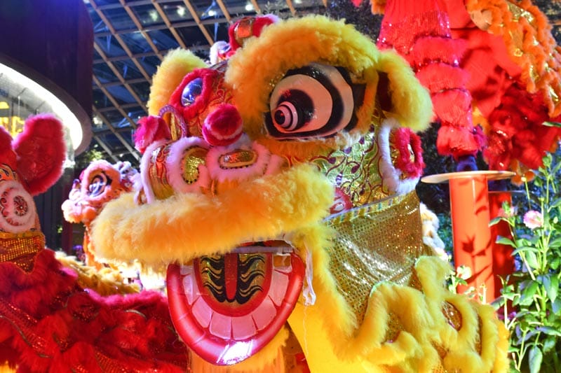 Lunar New Year Celebrations